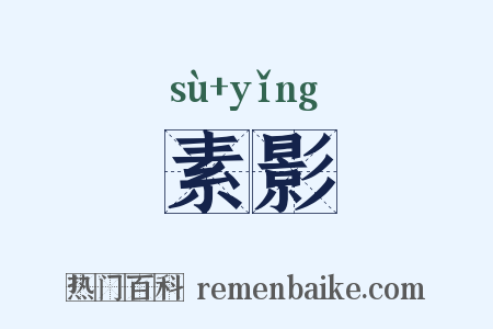 素影是什么意思的图片